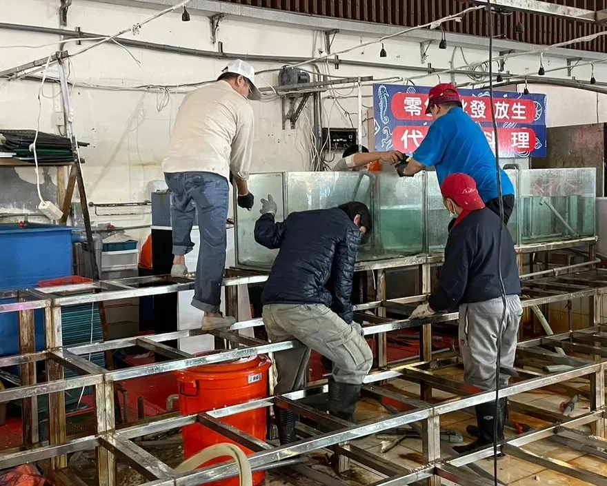 花7千買了個噁！基隆八斗子這商家竟賣「腐臭帝王蟹」　市府查為累犯斷水電禁營業