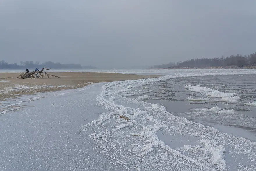 極地低溫風暴襲北美各地成急凍世界　麻州海灘竟出現「冰封鯊魚」