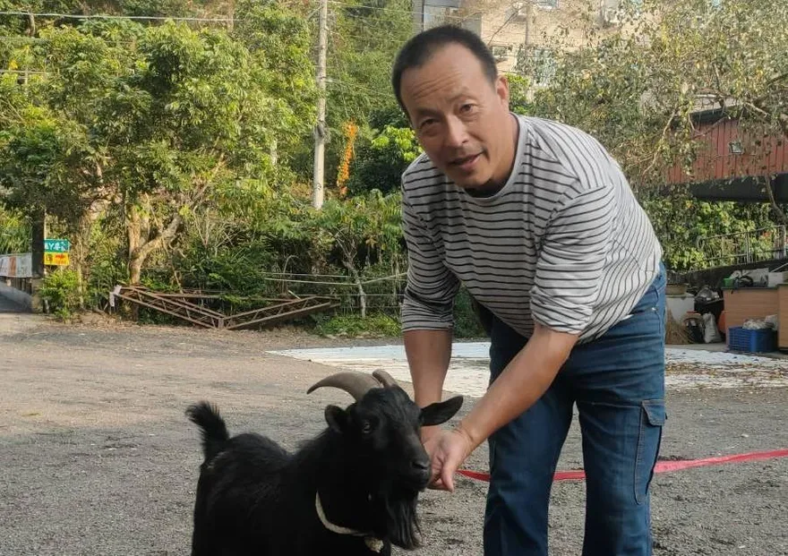 羊肉爐前被救下的黑羊羊…竟貪玩「蹺家」！　熱心警化身牧羊人找失主
