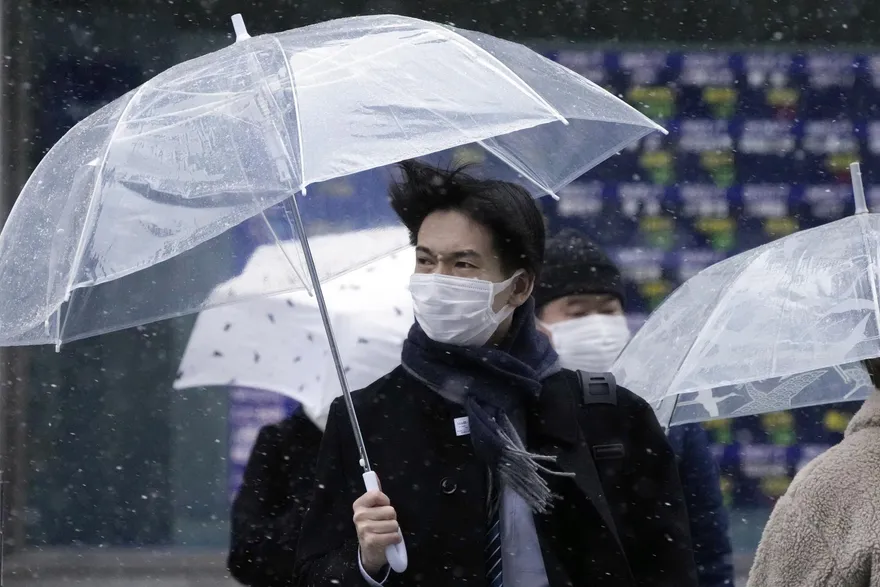 日本3月13日解除口罩令　確診者、密接者不需隔離