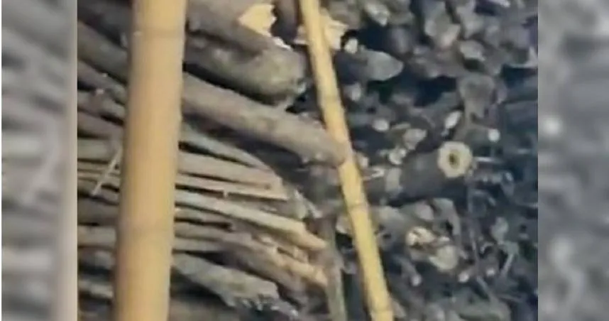 引人熱淚 ！陸翁驟逝前留「滿屋子木柴」　孫：爺爺用行動表示對奶奶的愛