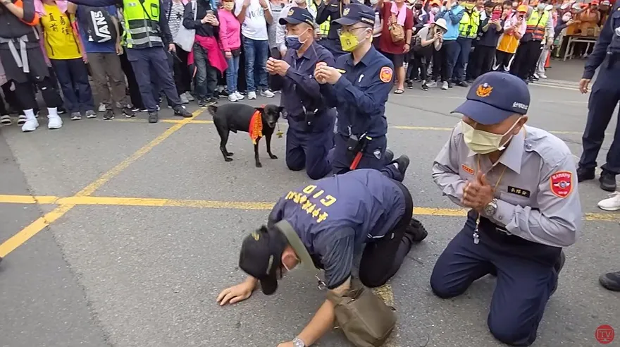 白沙屯媽祖進香/「粉紅超跑」狂搖晃猶豫不前　警察所長急帶警犬衝出下跪