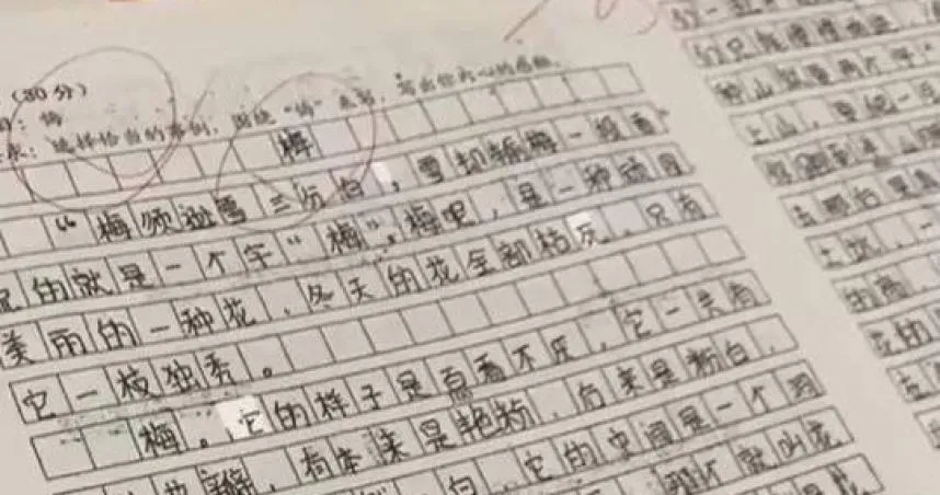 影/好可惜！小六學童「悔」「梅」不分　詞藻華麗30分作文扣到僅剩5分