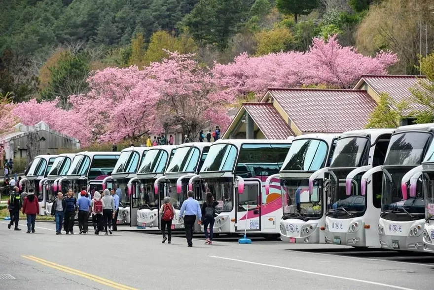 228連假逢花季恐湧車潮！高公局「交通管制措施」一次看
