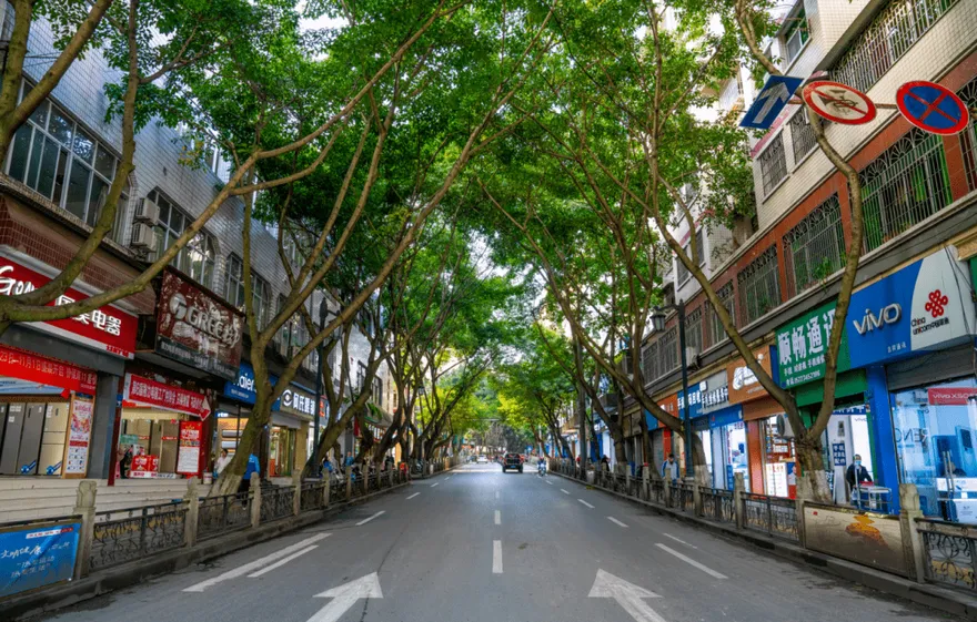 好糗！司機誤將「大竹」聽成「大足」　男乘客下車嘆：我發音這麼不標準嗎