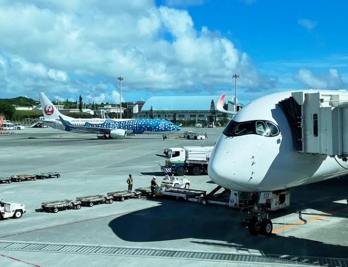 赴日旅遊熱潮再現！旅客增加近20倍　成田機場時隔3年再度迎「百萬大關」