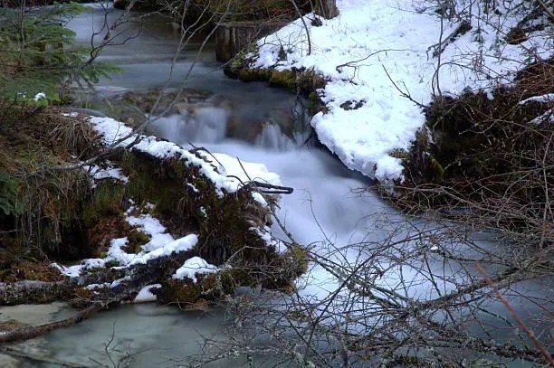 今起冷到周末！228連假「最佳追雪時間出爐」　下波冷空氣接力報到