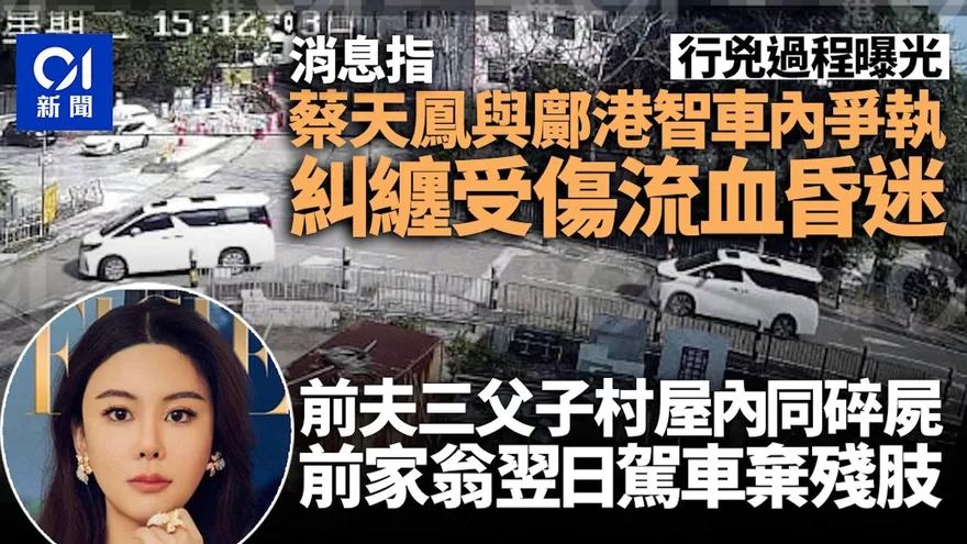 香港名媛分屍案/行兇過程曝光！蔡天鳳與前夫爭執　車內爆血昏迷　翌日慘遭碎屍烹煮