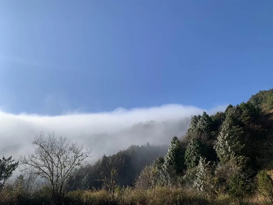 影/結冰世界變夢幻仙境！ 太平山湧現罕見雲瀑