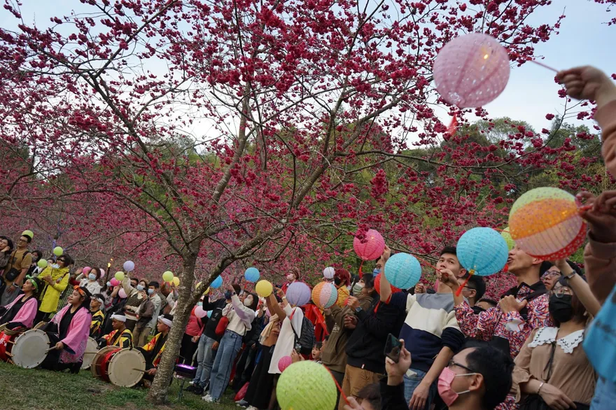 九族文化村又紫爆！開園半小時停車場負載八成 　官網再貼勸退文建議民眾「去別地方玩」