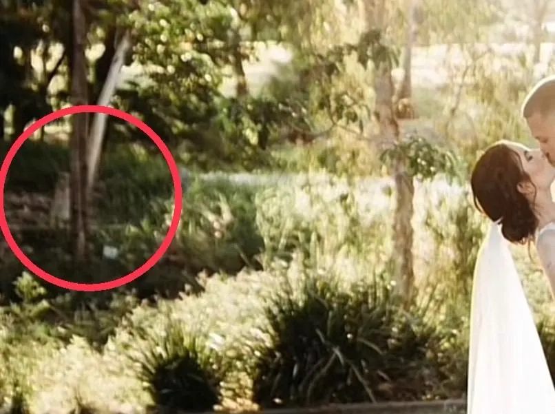 影/溺斃愛女現身爸媽婚禮角落？　140萬網友感動：一看到就哭了
