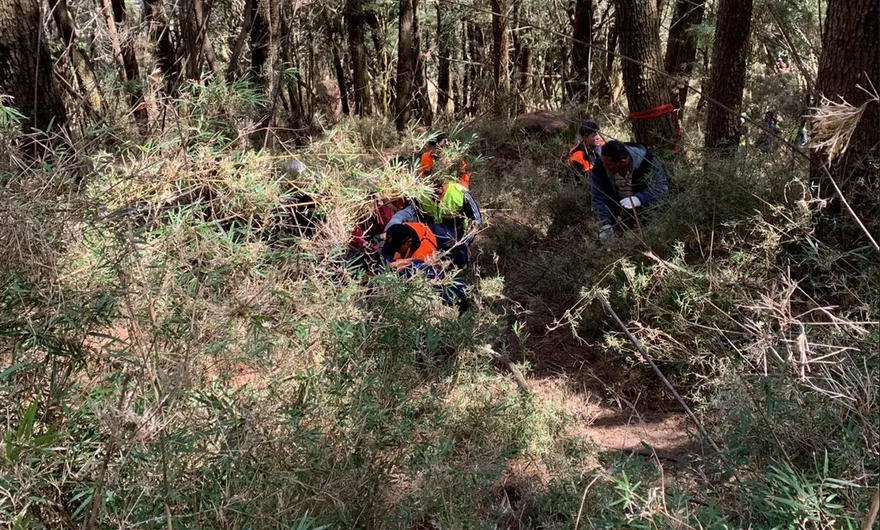 影/登山接駁車翻覆山谷！　8人送醫、司機死亡