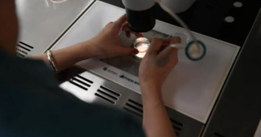 雙胞胎差12歲！男嬰「冷凍13年」被成功喚醒　44歲媽順利得子