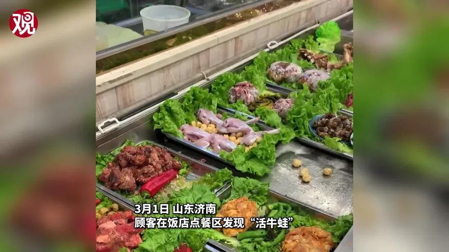 影/恐怖慎入！「剝皮」肉色牛蛙盤中狂蹦跳　「起死回生」嚇壞餐廳顧客