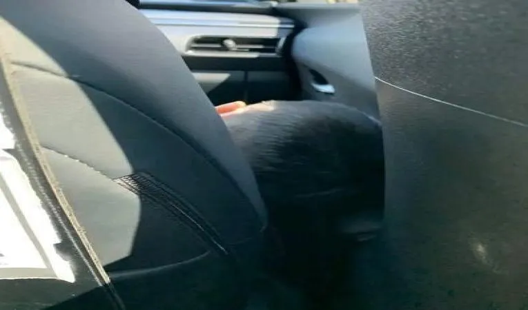 單親運將帶小孩載客！「僅剩2機會」苦求別檢舉　惹哭網友