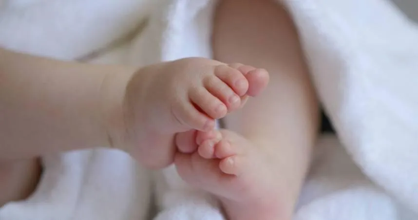 同性生殖將成真？日本幹細胞專家以「雄性細胞」培育卵子！成功誕生7幼鼠