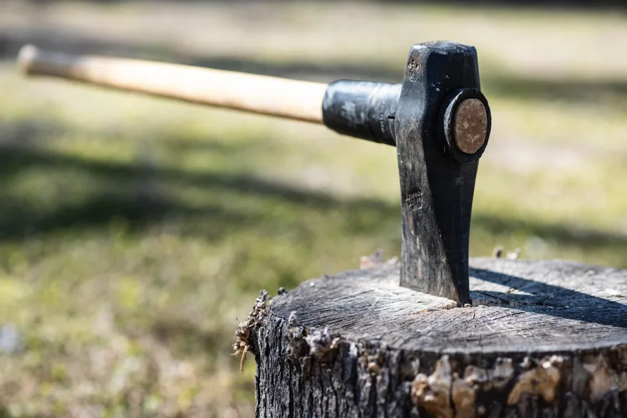 疑因金錢衝突動殺心　37歲孫子持斧將100歲奶奶「斬首」