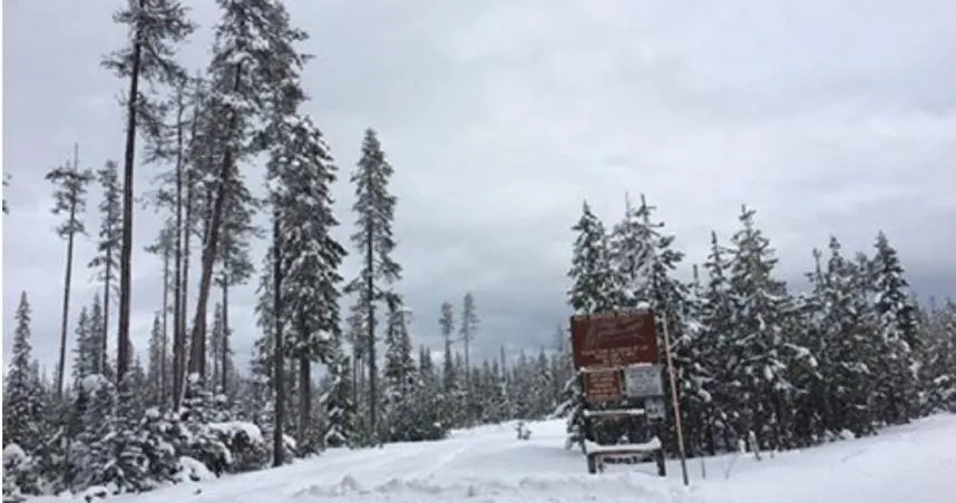 奇蹟生還！男受困雪山無收訊「全靠1物獲救」　還助搜救隊意外發現另一名受難者