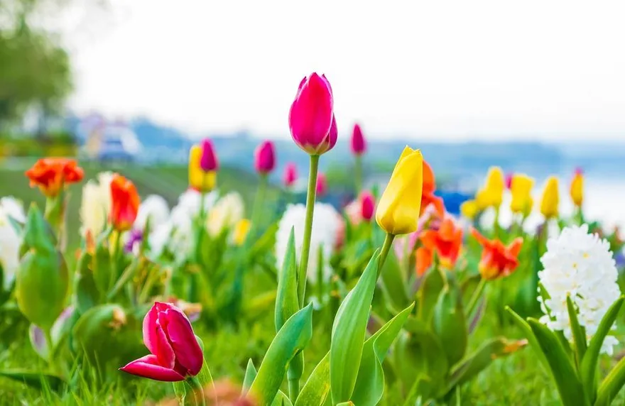 春天肝火旺心浮氣躁易動怒！ 中醫：多吃1色食物+2穴位排毒