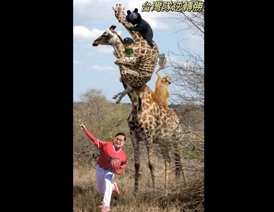 陳水扁PO「長頸鹿交疊照」賀中華隊經典賽勝利　網傻眼：這藝術對地球人太早