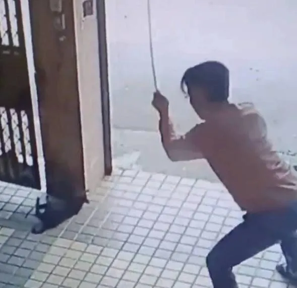 殘忍虐狗！台南玉井男「持長棍猛打」畫面曝光　小黑犬抽搐慘死