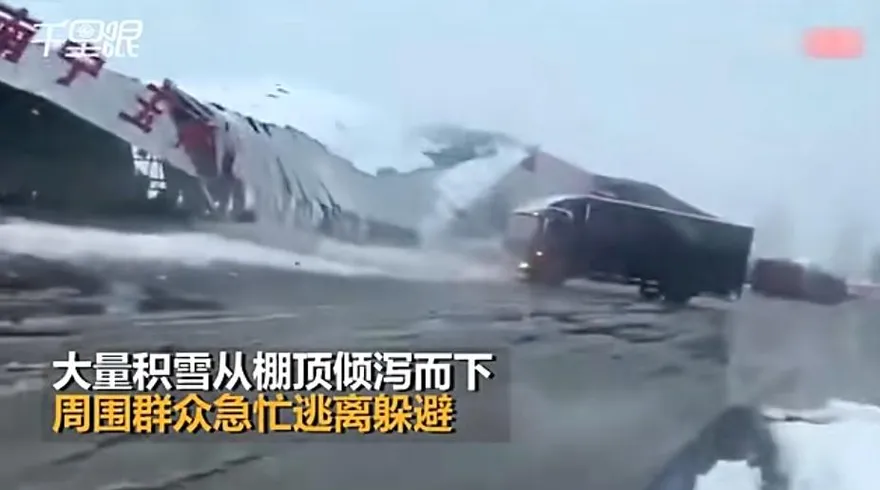 影/50年一遇！河南三月暴雪倉庫「骨牌式」垮塌　40畝葡萄棚毀於一旦