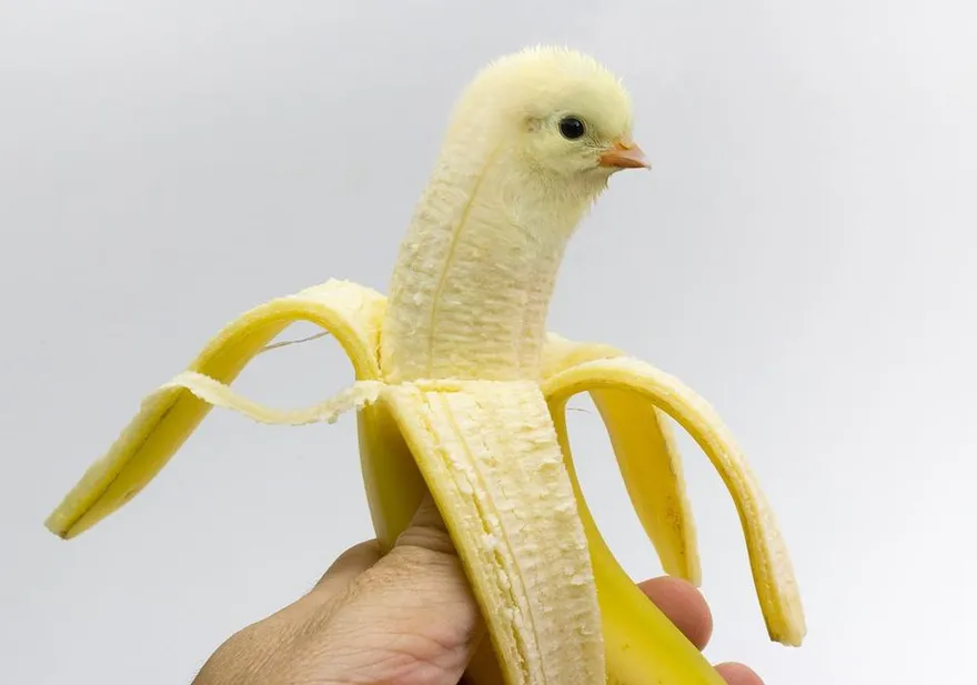 約3成男性有「早洩問題」！泌尿醫：少於3分鐘就算早洩　「4方式」拯救性生活