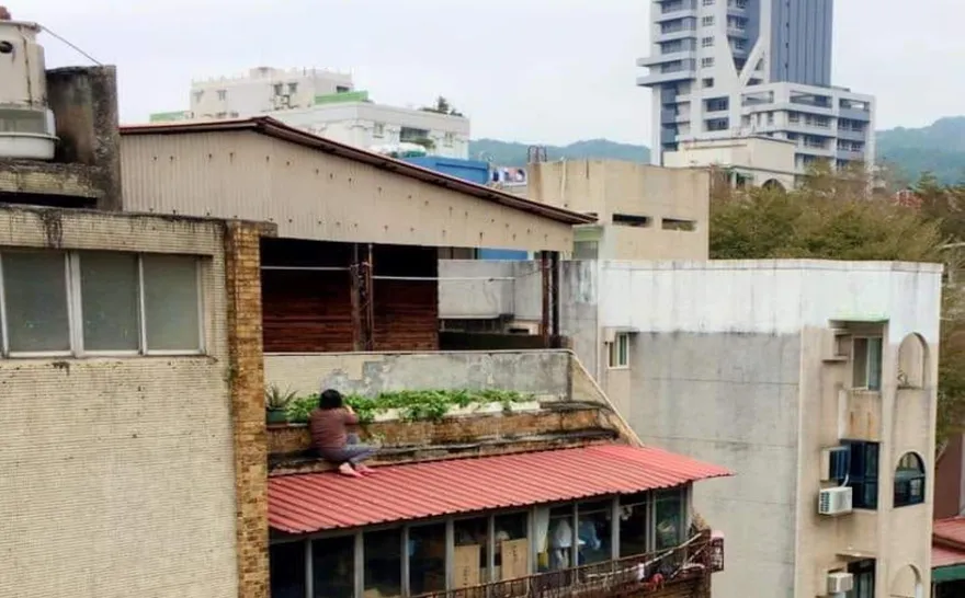 腳底會剉！直擊阿嬤扮蜘蛛俠秀5樓遮雨棚種菜　網笑：「捉迷藏太厲害」