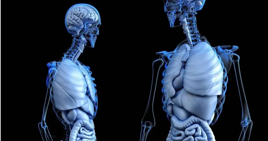 「隱藏版癌王」難發現！醫：日常消化不良、脹氣恐當心是癌