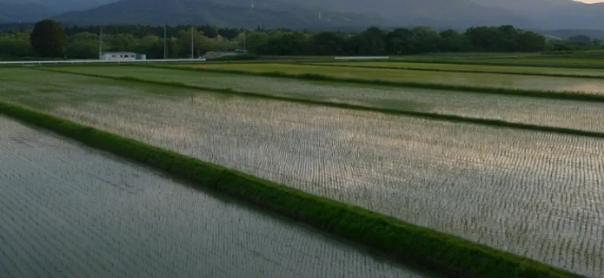 甜蜜的負擔！竹科工程師煩惱5.8甲農地該不該賣　網友這樣說