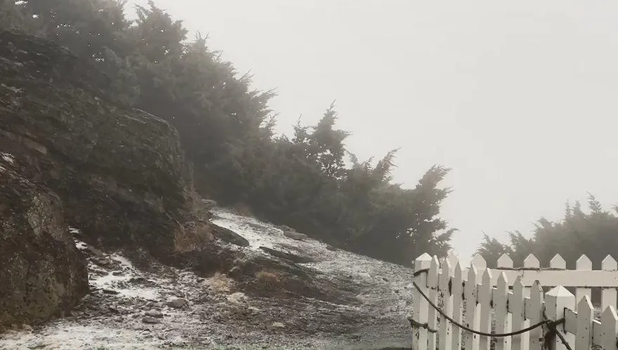 影/80年來最晚！玉山今晨終於下雪　銀白世界畫面曝光