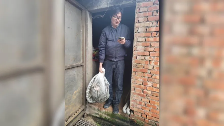 快訊/狒狒被六福村獸醫帶走！林務局怒：檢疫期滿仍以北市動物園為首選
