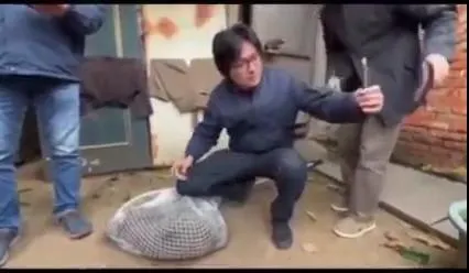 影/狒狒被射殺他自拍給女兒看？　農業局官員發文曝原因