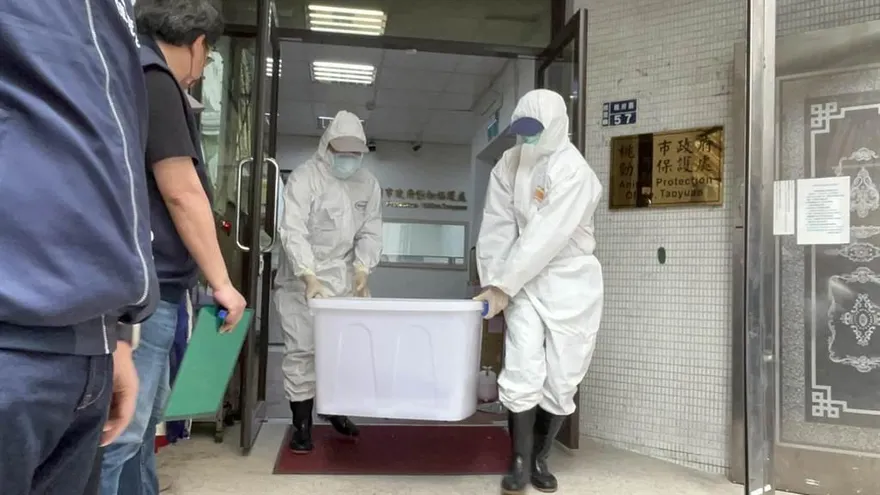 「狒」腑人心！狒狒遺體送北市立動物園　「檢疫變驗屍」引眾怒要求真相