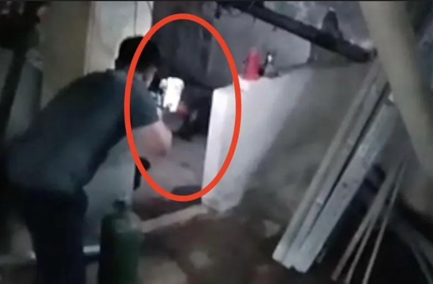 狒狒成槍下亡魂！直擊圍捕現場　農業局補麻醉槍畫面曝光