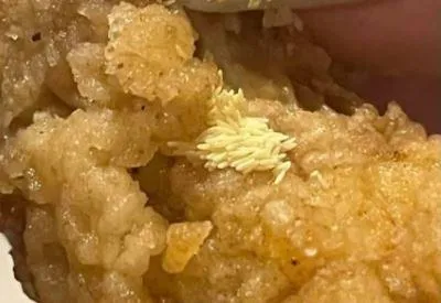 吃肯德基吃到「蒼蠅卵」！她嗑炸雞驚見「不明起司粉」緊黏　上網一查秒奔廁所狂吐