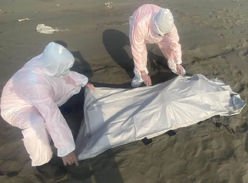 不是回家了嗎？妻遭遣返卻成海上浮屍　越南夫悲痛認屍