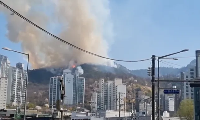 影/首爾仁王山大火延燒3小時　當局緊急撤離120戶居民