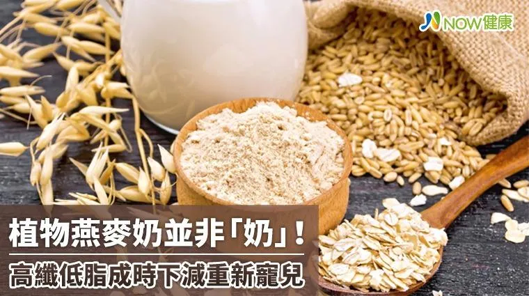 「燕麥奶」似奶非奶？相較牛奶更低脂　時下減重好夥伴