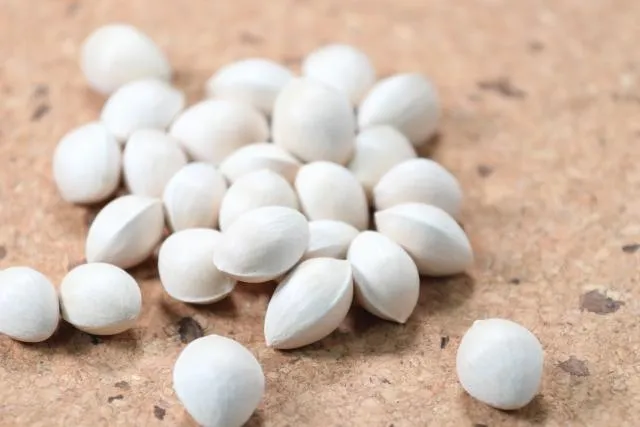 多吃銀杏減緩癡呆？醫揭真相預防應從日常做起