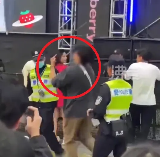 影/嗑藥了？成都音樂節現怪男　搖頭晃腦對警察比中指慘遭制服
