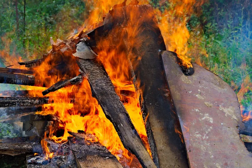 昔電玩大亨周人蔘轉當「環汙大師」　二審遭判1年1月
