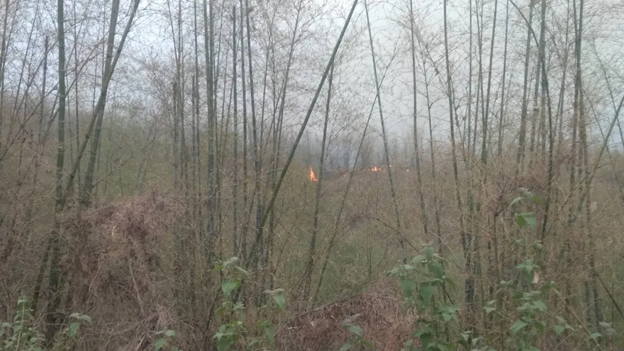 影/驚傳軍方打靶引發高雄旗山雜草火災！八軍團回應了