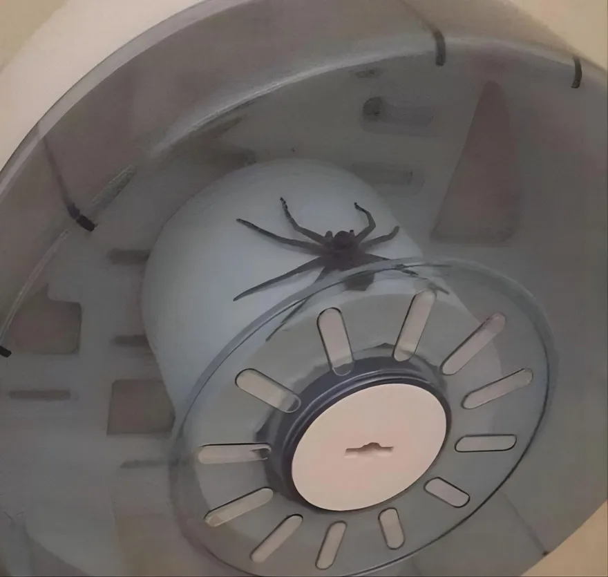 恐怖慎入！廁所衛生紙架驚藏超大喇牙　他嚇到竟做出「這決定」