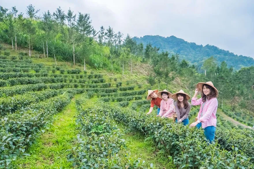 影/迎接春暖花開！　新北13大亮點周末邀你享受美好時光