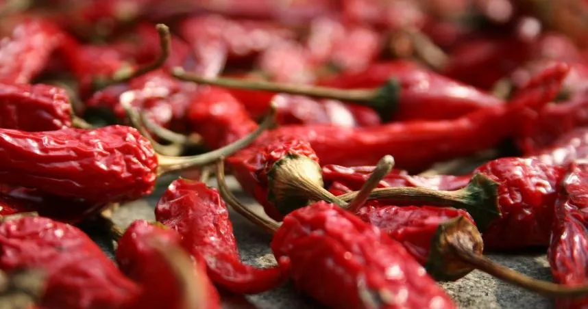 四川媳被交代祭祖「端出6道菜」　婆婆返家1原因看傻眼