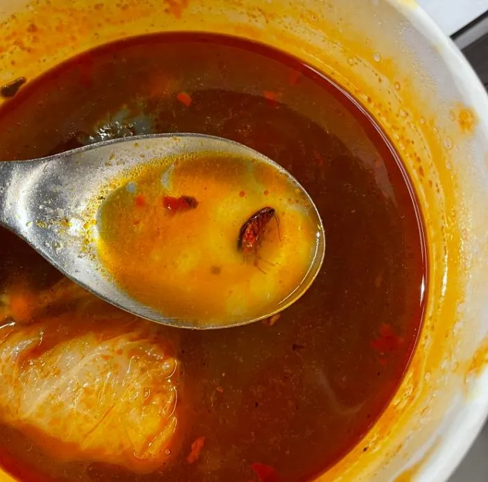 慎入！民眾到百貨公司買關東煮　吃兩口驚見「入味小強」瞬間嘔爆