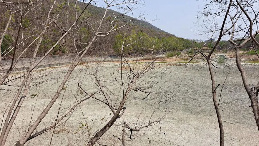 高雄旱象地裂開！半屏湖濕地裸露見底　柴山湧泉乾涸
