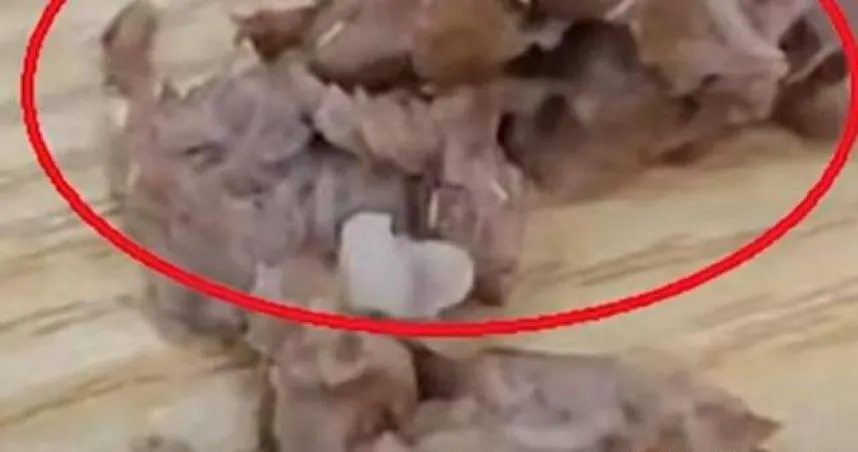 排骨吃到一半驚見「白蛆亂爬」　一聽店家賠償金額「4888」更氣炸！