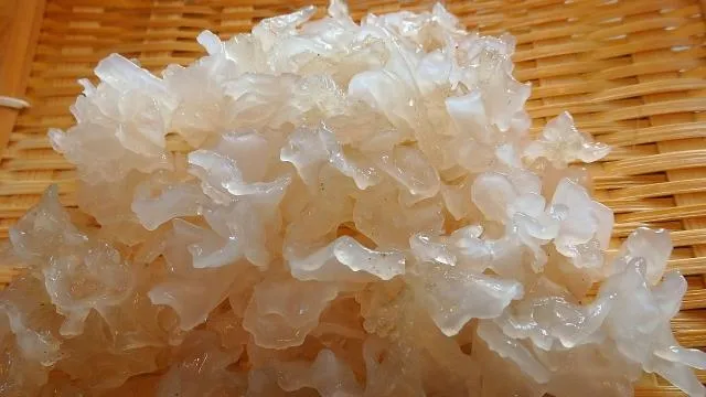 靠「銀耳」補充膠原蛋白？食藥署闢謠：植物不含膠原蛋白